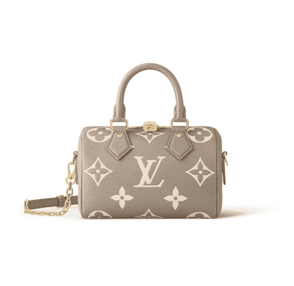Louis Vuitton bag 27