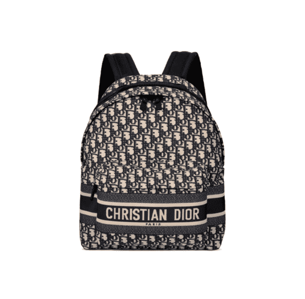 Dior bag 4
