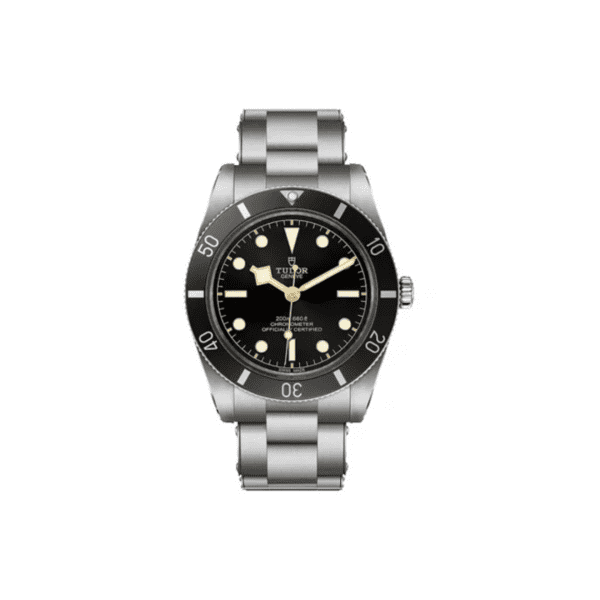 Tudor Watch 06