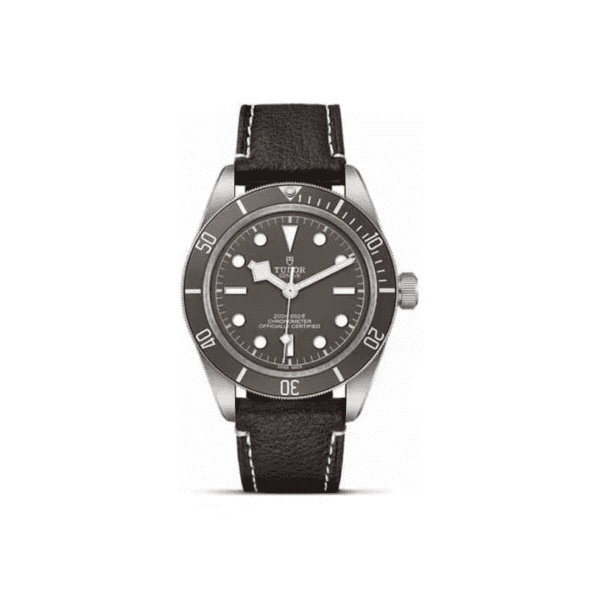 Tudor Watch 14